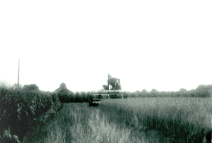 Homer Sechrist, combining wheat with his new combine, July, 1948. Photo by Charles E. Dial.